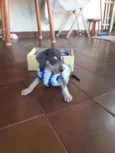 ...40dias