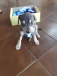 ...40dias