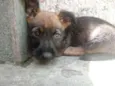 Sem nome