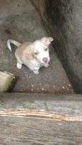 Nina
