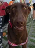 Mel