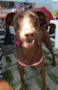 Mel