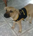 Bombom