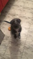Valesca