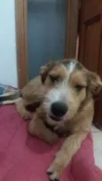 Kaique 