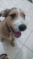 Kaique 