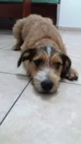 Kaique