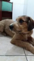 Kaique