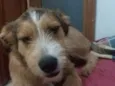Kaique 
