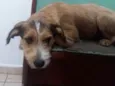 Kaique 