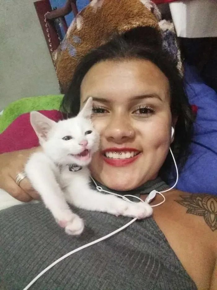 Gato ra a vira lata idade 2 a 6 meses nome James
