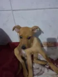 Não tem
