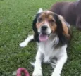 Marley
