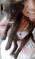 Bob