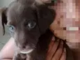 Bob