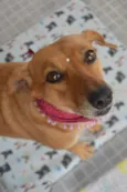 Vicky