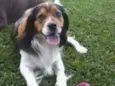 Marley