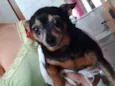 Menina