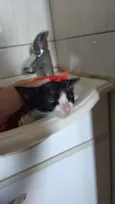 Léo