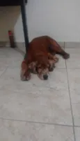 Não tem