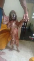 Não tem