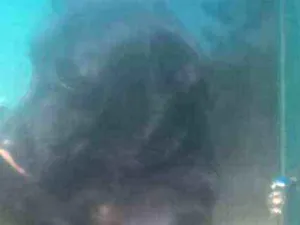 Cachorro raça Labrador misturado idade 5 anos nome Timóteo 