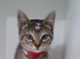 Penelope