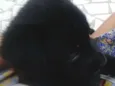 Budi e Bilinha