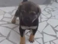 Budi e Bilinha