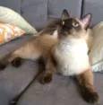 NIck