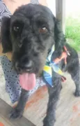 Ulisses