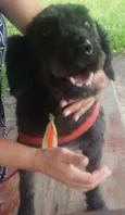Ulisses