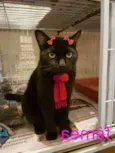 PRINCESA