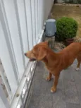 Ted