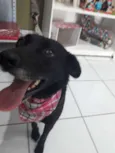 Pretinha