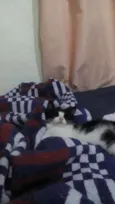 Mimi