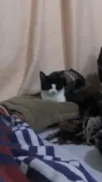 Mimi