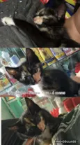 Descrito no anuncio