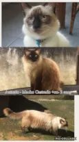 Descrito no anuncio