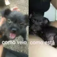 Sem nome