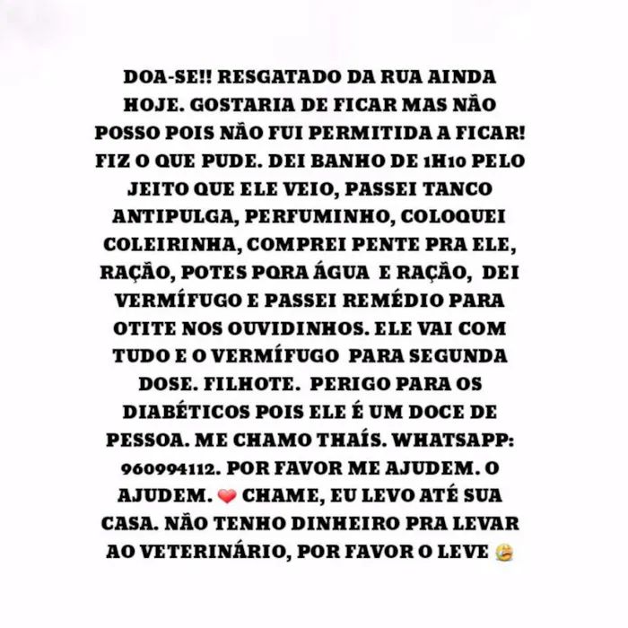 Cachorro ra a SRD  Sem raça definida idade 2 a 6 meses nome Sem nome
