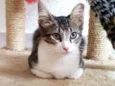 Tony