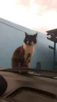 Vênus