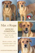 Max e Roque