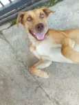O nome você escolhe!