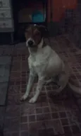 Lua