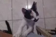 Não tem nome