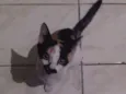Não tem nome