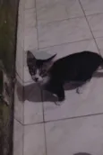 Não tem nome