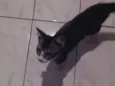 Não tem nome